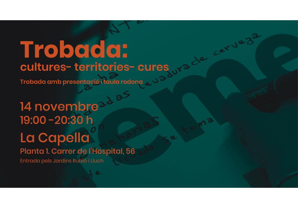 Trobada Interfícies