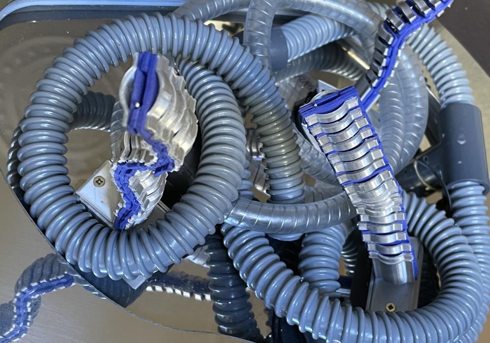 Hipertèlia, Mónica Rikić 