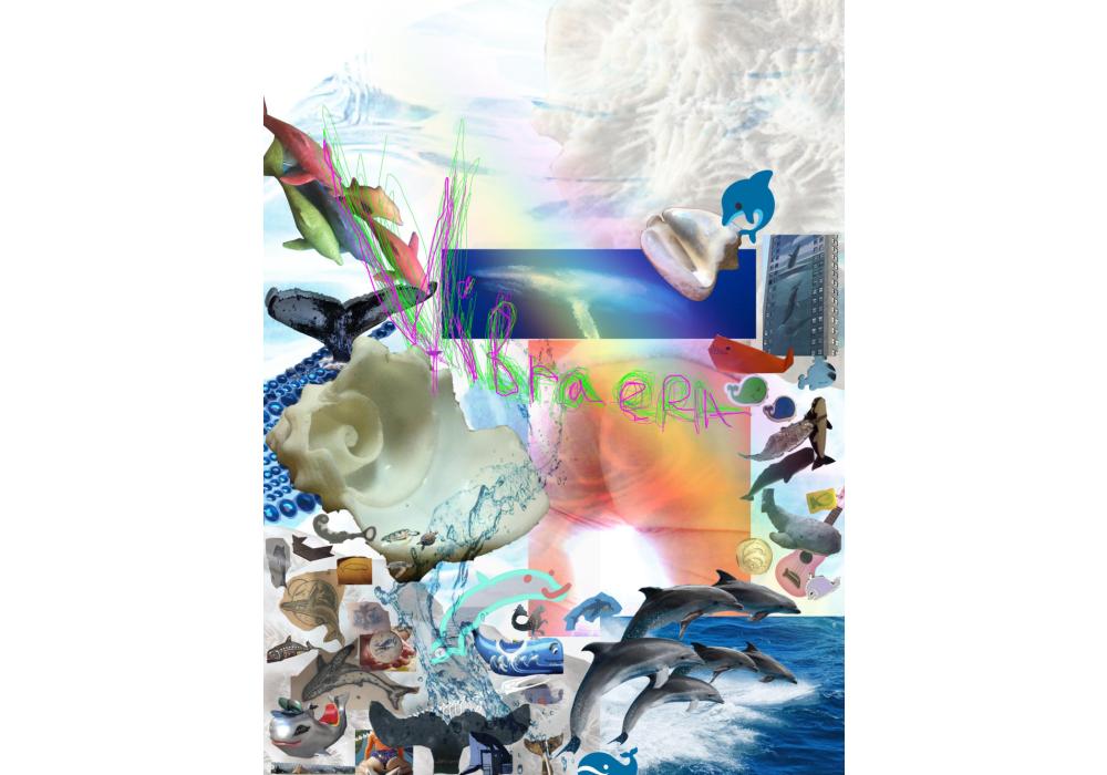 Vibraera, Consol Llupià