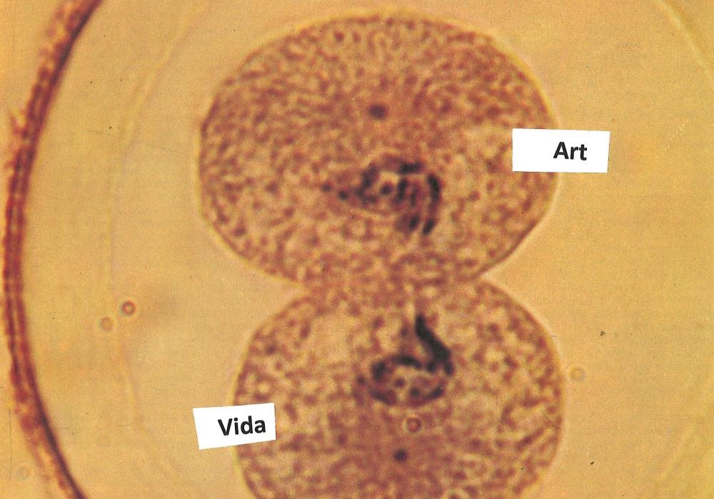 Què s&#039;amaga dins el nostre cos