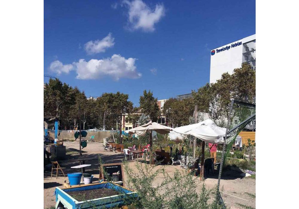  Són els microorganismes els que tindran l&#039;última paraula. Activitat 1: Huerta La Vanguardia