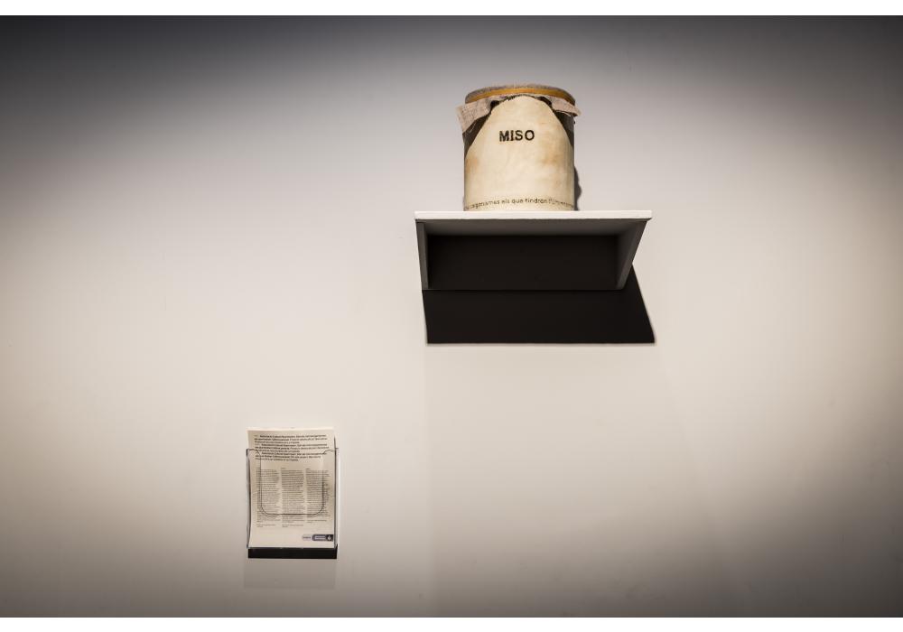 Són els microorganismes els que tindran l’última paraula. Activitat 4: Romeria i Festa del Miso 