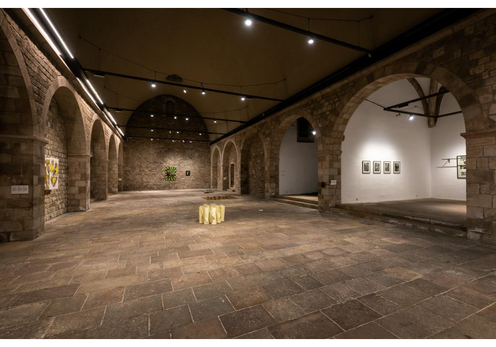 SINOPSI. Exposició col•lectiva Art Nou 2018 (Foto: Pep Herrero)