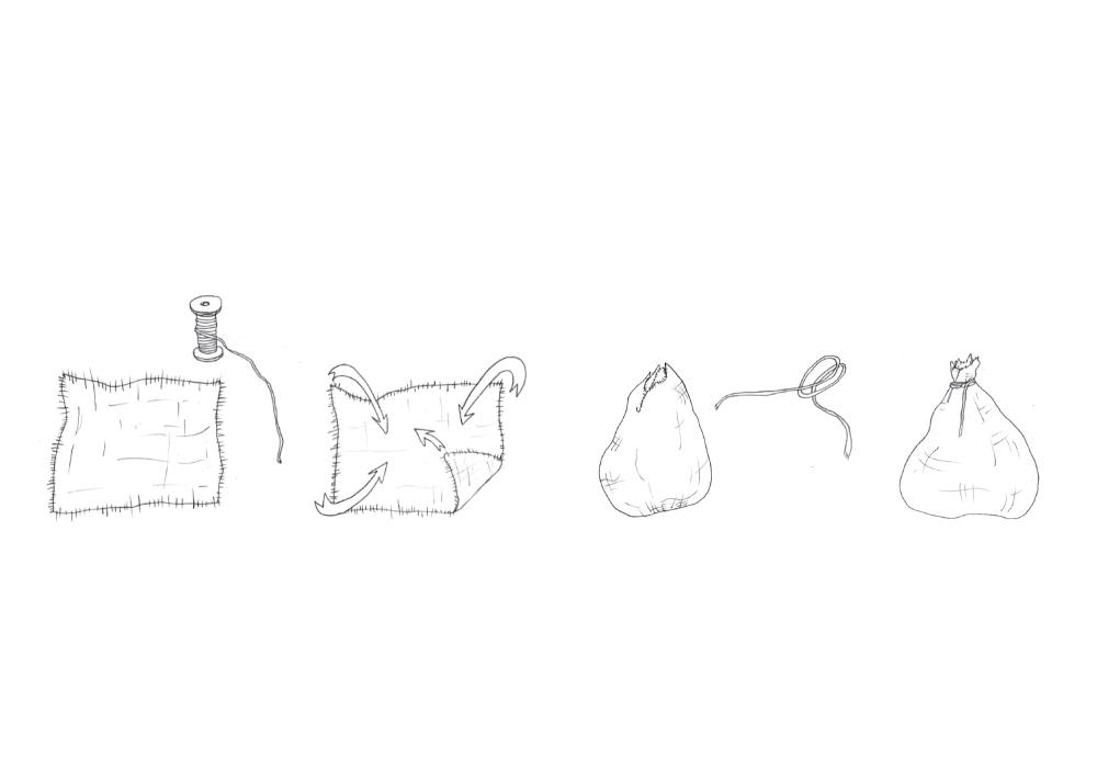 Holobiontes, simbiontes y otras sutilezas – Genealogía tra(n)shumante de bichos de compañía